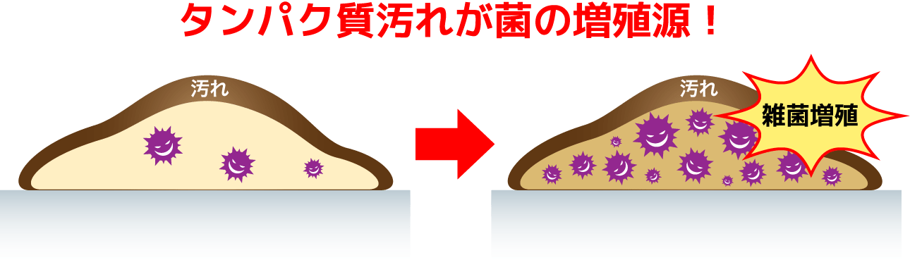 タンパク質汚れが菌の増殖源！